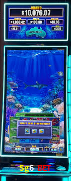 Descubra o Mundo do Cassino Online com Sg6 Bet